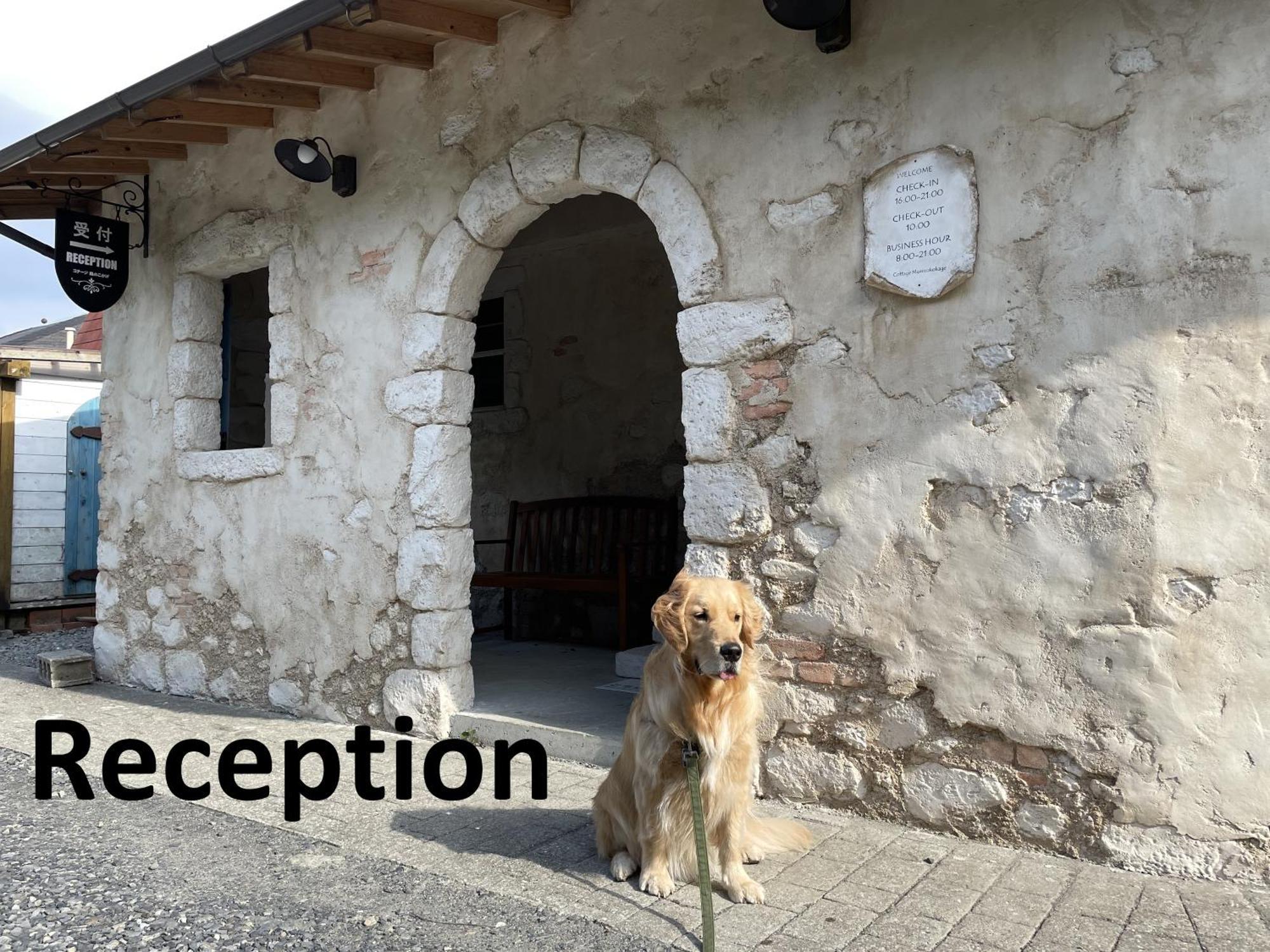 Cottage Morinokokage Jakusima Kültér fotó